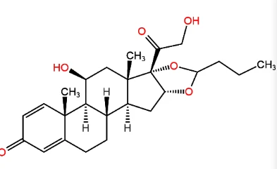 Budesonide Budesonide